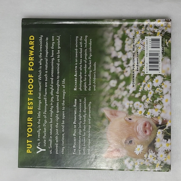 ⭐️ 7 books: Paul bunyan;chicken little;black beauty; ugly duckling;goldilocks ⭐️ - Picture 10 of 10